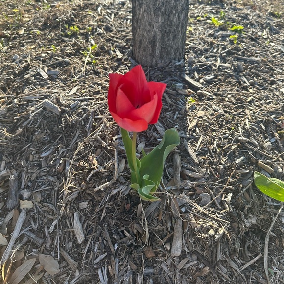 Meet your Posher - Picture 2 of 3